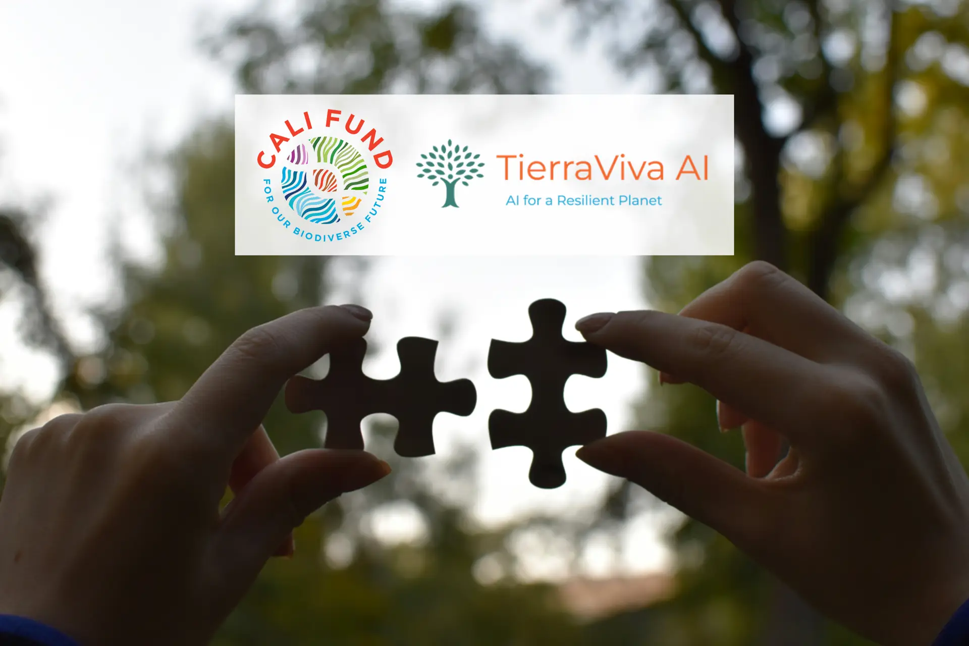 Cali Fund logo and TierraViva AI logo