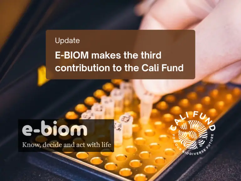 Image description: Announcement graphic showing a close-up of a gloved hand using a pipette above rows of small laboratory tubes in a yellow-orange rack. A translucent brown panel near the top reads: “Update” and “E-BIOM makes the third contribution to the Cali Fund.” At the bottom left, the white E-BIOM logo appears on a dark rectangular background with the tagline “Know, decide and act with life.” At the bottom right, the white Cali Fund logo features a circular, fingerprint-like design surrounded by the words “CALI FUND” and “FOR OUR BIODIVERSE FUTURE.”