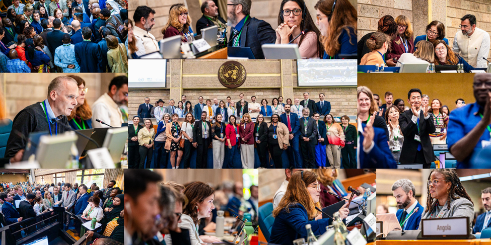 Collage of photographs from the SBI-7 in Nairobi, Kenya in August 2026, showing delegates in discussion, speaking into microphones, listening, and applauding. A central group portrait shows participants beneath a United Nations emblem. Other images show delegates gathered around conference desks, a woman holding a gavel, and a woman speaking.